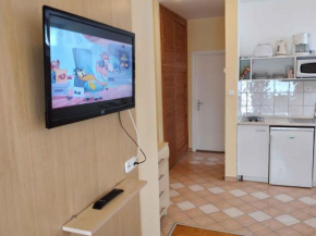 Apartments in Heviz/Balaton 27595